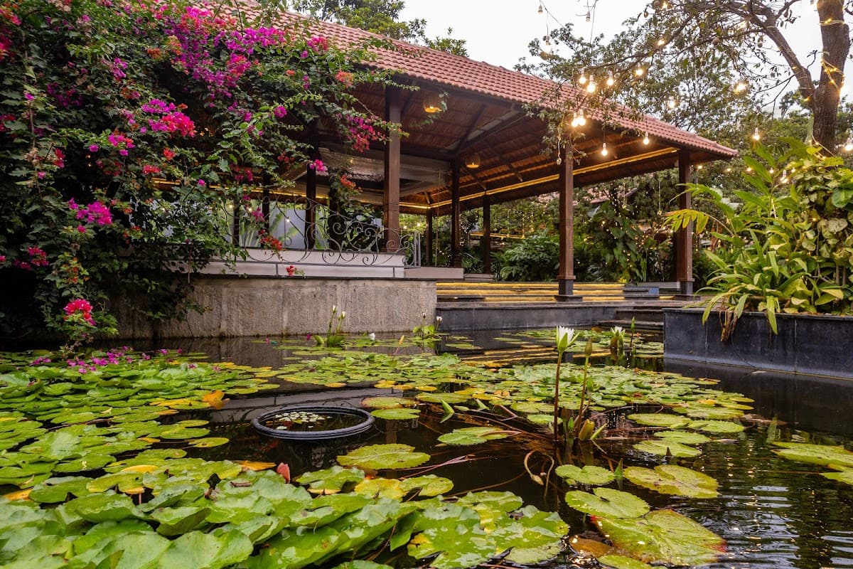 The Lily Pond photo 1