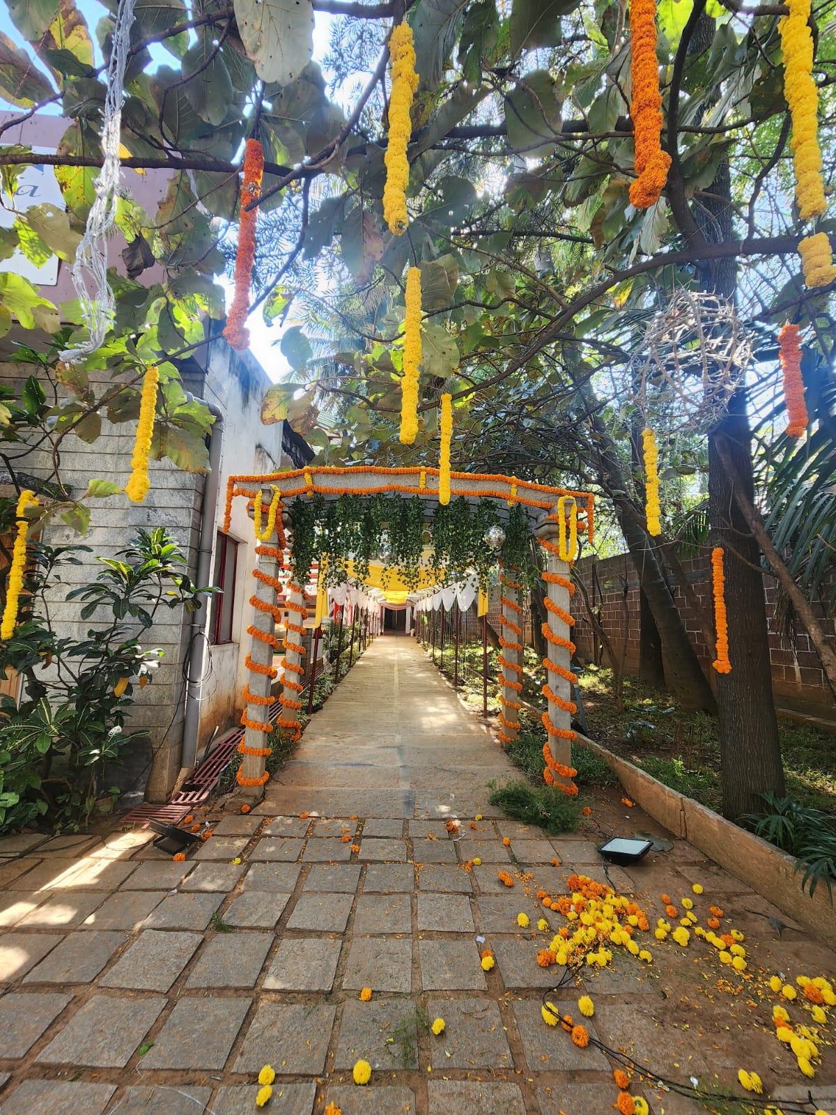 The Pergola photo 2