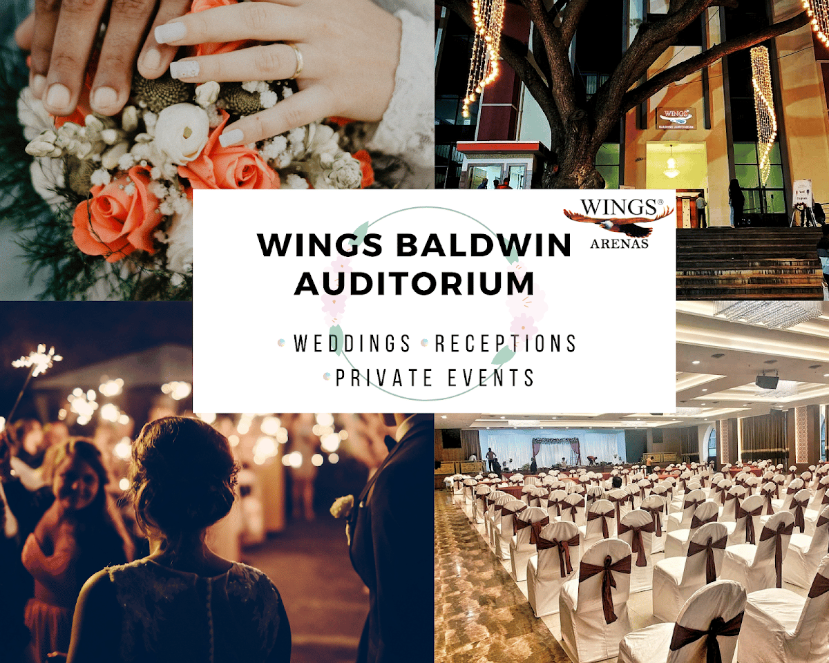 WINGS Baldwin Auditorium photo 1